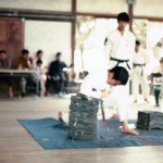 AJKF Tai Kai Hirado Jun 73, Yamamoto Elbow Tameshiwari