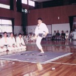 AJKF Tai Kai Jun74, Ishimatsu Shin Tameshiwari